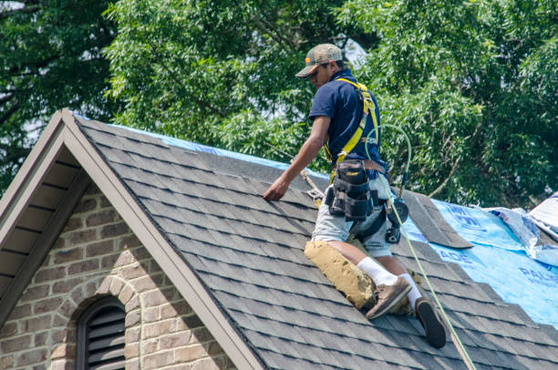 Best Storm Damage Roof Repair  in Huntsville, AR